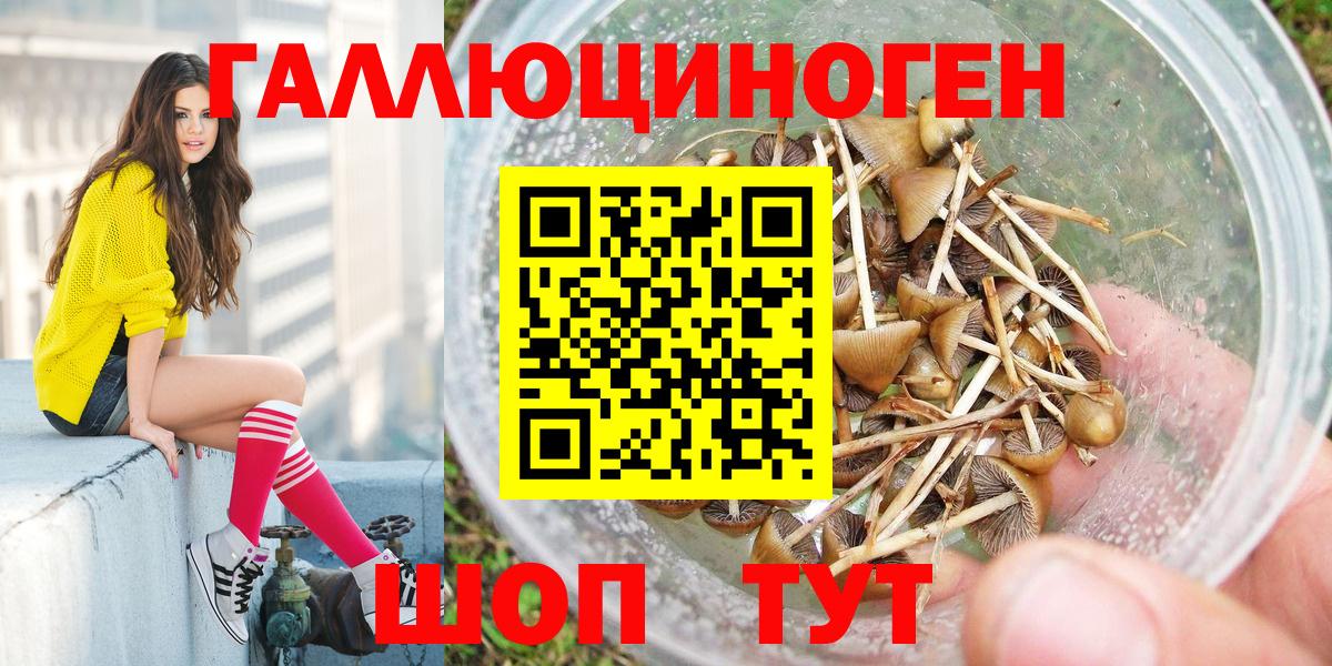 Псилоцибиновые грибы MAGIC MUSHROOMS Мегион